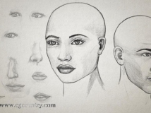 DT_绘制面部特征（Drawing Facial Features）